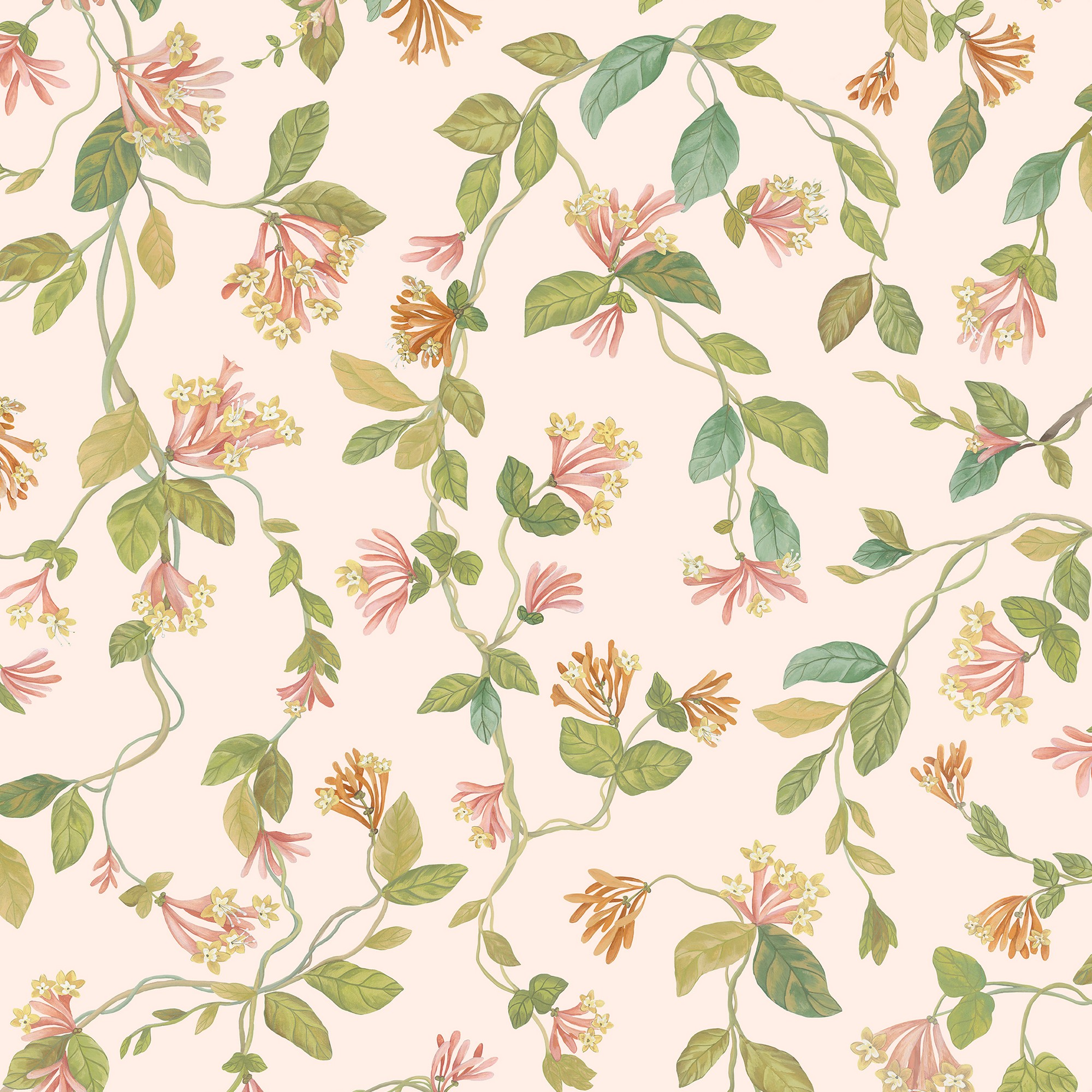 Flora Wallpaper 1243016 By Cole Son In Tangerine Olive Blush